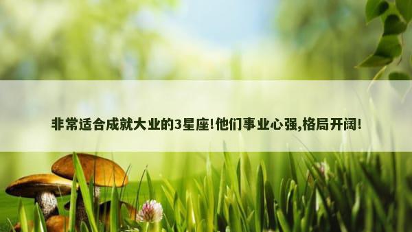 非常适合成就大业的3星座!他们事业心强,格局开阔!