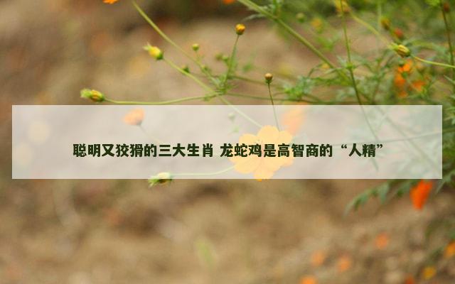 聪明又狡猾的三大生肖 龙蛇鸡是高智商的“人精”