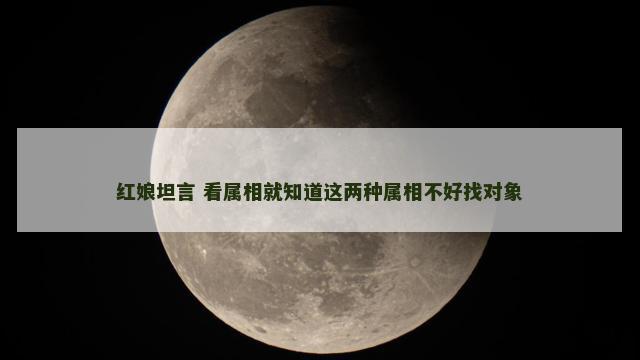 红娘坦言 看属相就知道这两种属相不好找对象
