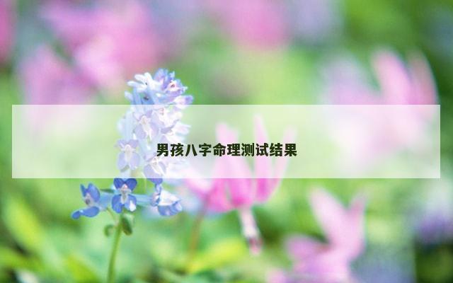 男孩八字命理测试结果