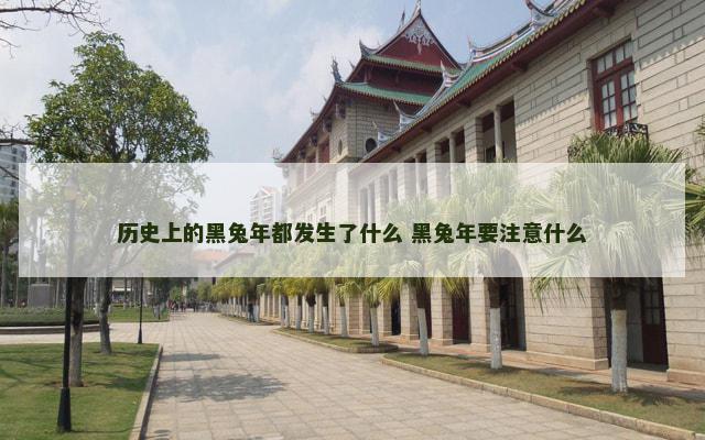 历史上的黑兔年都发生了什么 黑兔年要注意什么