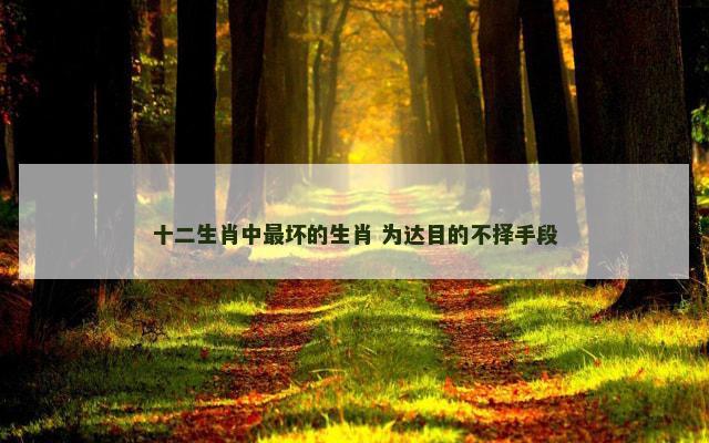 十二生肖中最坏的生肖 为达目的不择手段