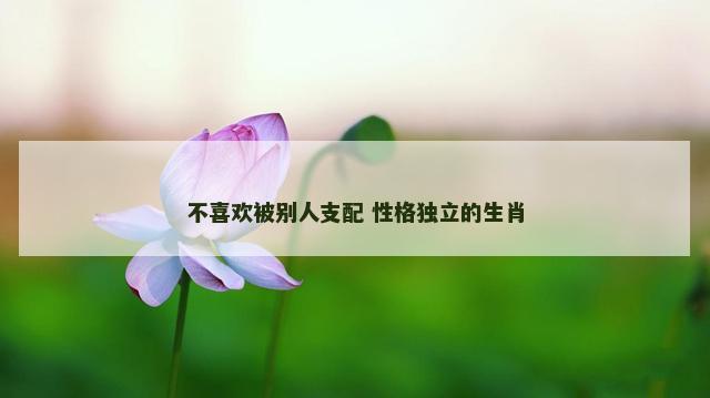不喜欢被别人支配 性格独立的生肖