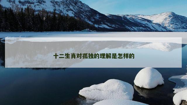 十二生肖对孤独的理解是怎样的