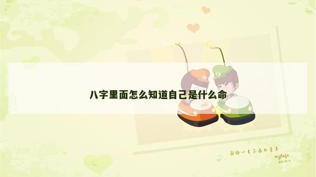 八字里面怎么知道自己是什么命