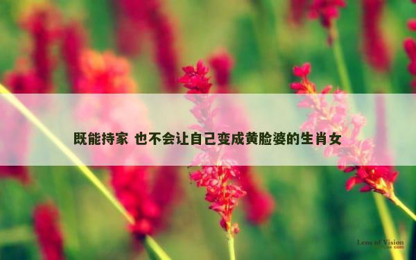 既能持家 也不会让自己变成黄脸婆的生肖女