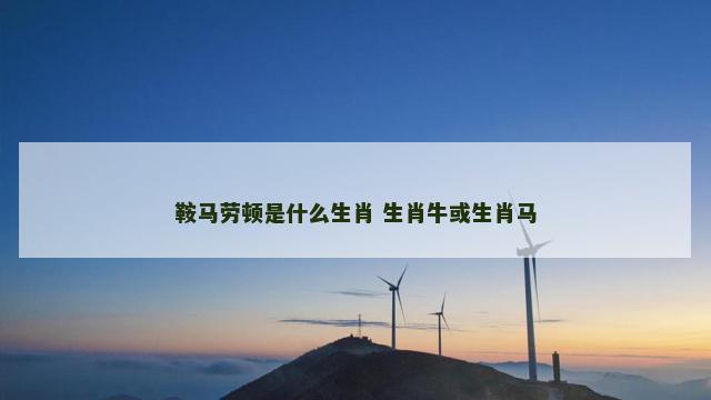 鞍马劳顿是什么生肖 生肖牛或生肖马