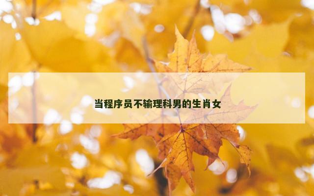 当程序员不输理科男的生肖女