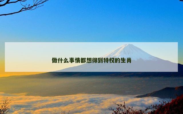 做什么事情都想得到特权的生肖