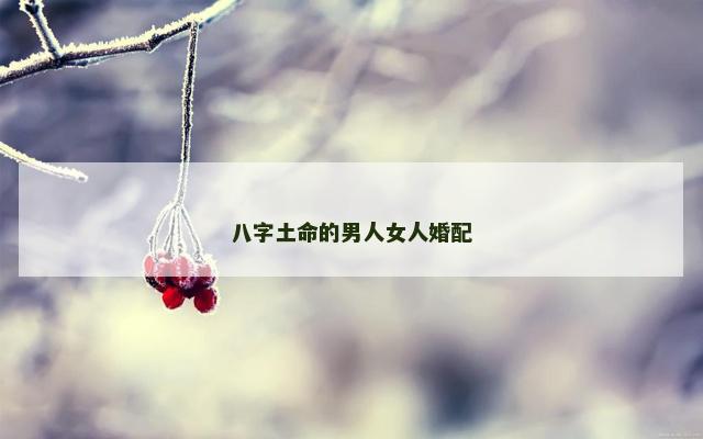 八字土命的男人女人婚配