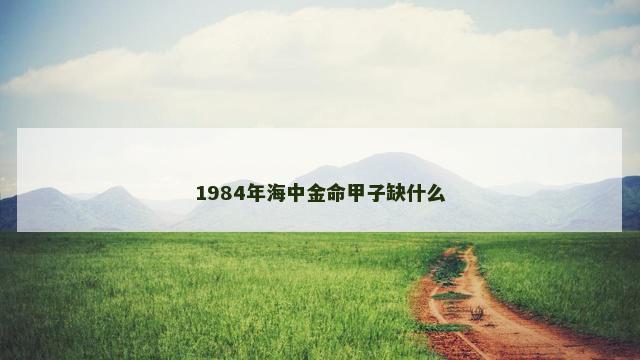 1984年海中金命甲子缺什么