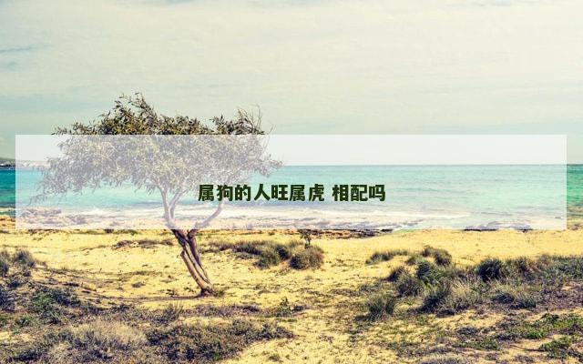 属狗的人旺属虎 相配吗