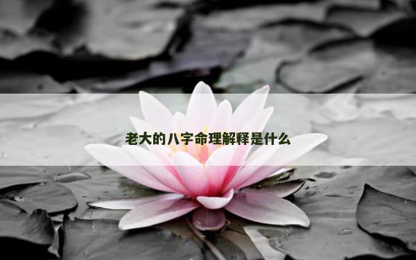 老大的八字命理解释是什么