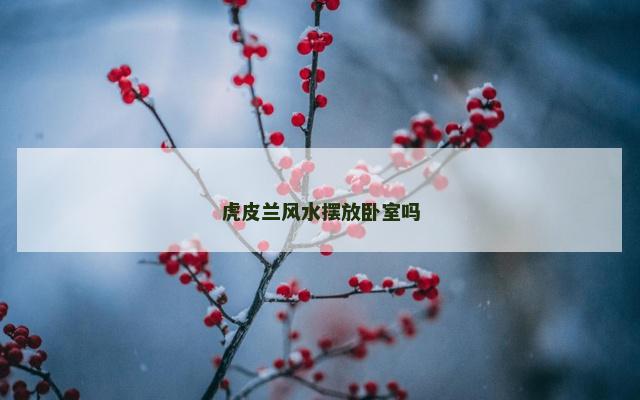 虎皮兰风水摆放卧室吗