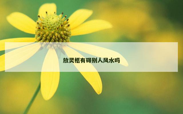 放灵柩有碍别人风水吗