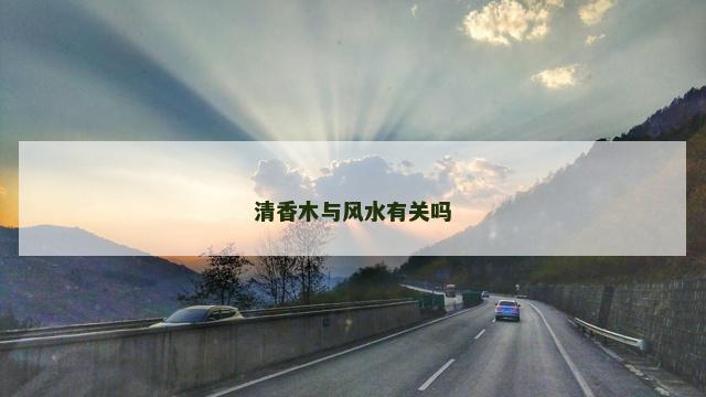 清香木与风水有关吗