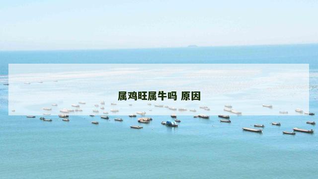属鸡旺属牛吗 原因