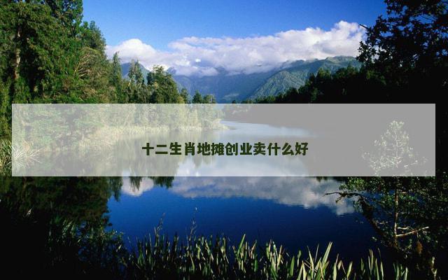 十二生肖地摊创业卖什么好