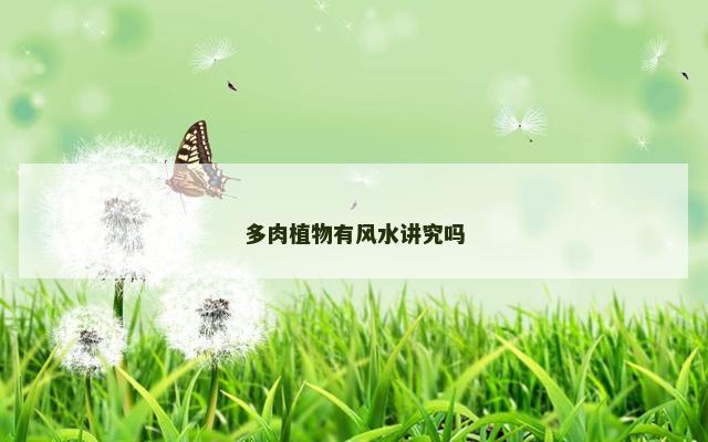 多肉植物有风水讲究吗