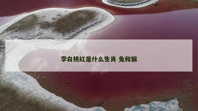 李白桃红是什么生肖 兔和猴