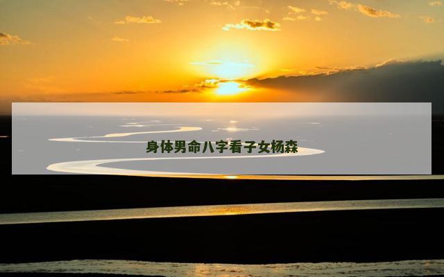 身体男命八字看子女杨森