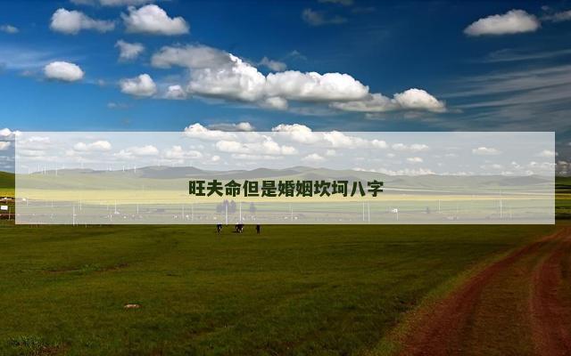 旺夫命但是婚姻坎坷八字
