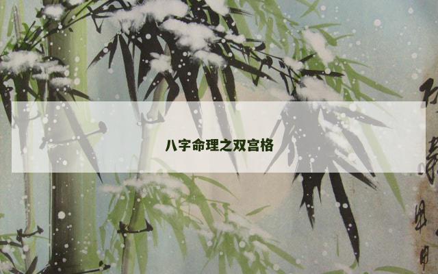 八字命理之双宫格