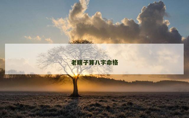 老瞎子算八字命格