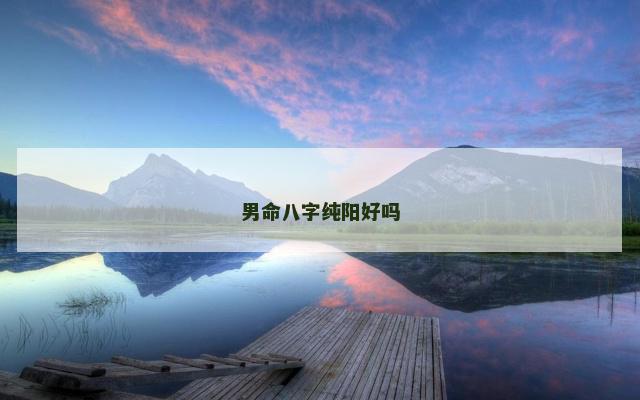 男命八字纯阳好吗