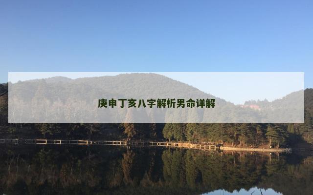 庚申丁亥八字解析男命详解