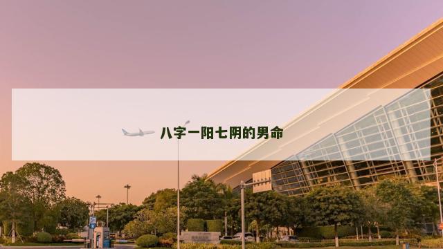 八字一阳七阴的男命