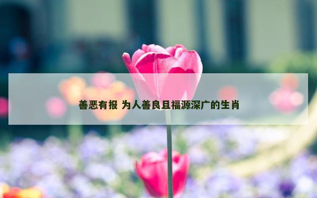 善恶有报 为人善良且福源深广的生肖