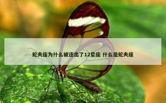 蛇夫座为什么被逐出了12星座 什么是蛇夫座