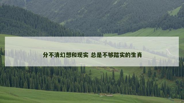 分不清幻想和现实 总是不够踏实的生肖