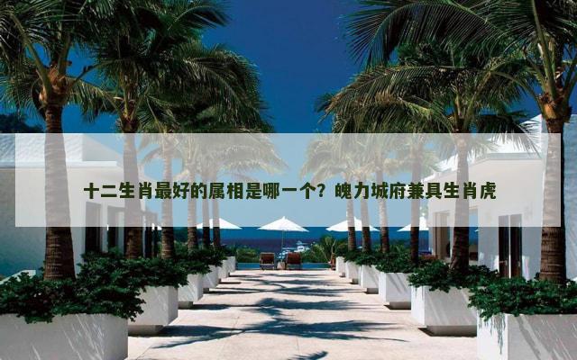 十二生肖最好的属相是哪一个？魄力城府兼具生肖虎