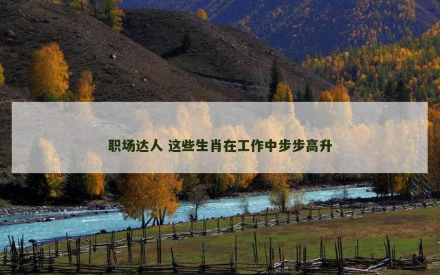 职场达人 这些生肖在工作中步步高升