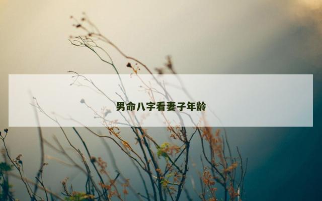 男命八字看妻子年龄