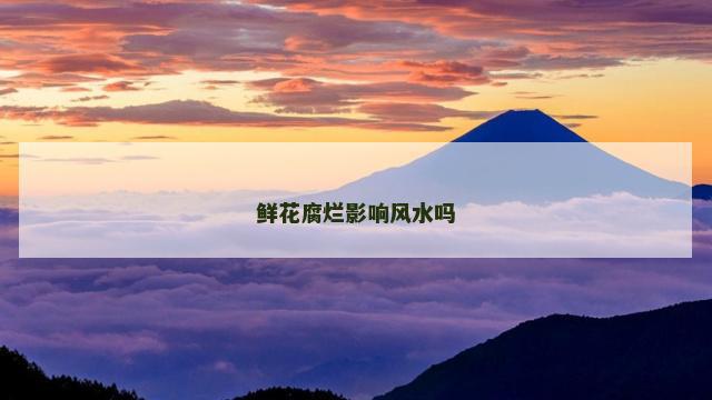 鲜花腐烂影响风水吗