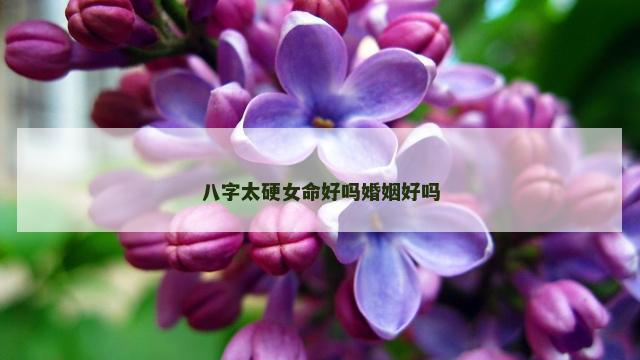 八字太硬女命好吗婚姻好吗