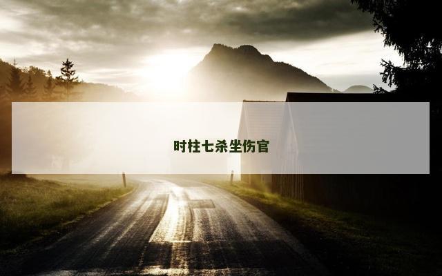 时柱七杀坐伤官