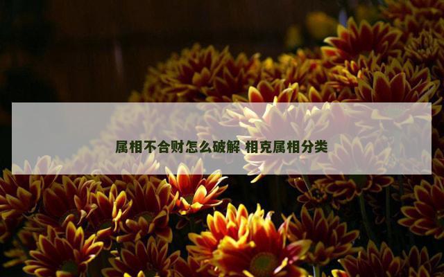 属相不合财怎么破解 相克属相分类