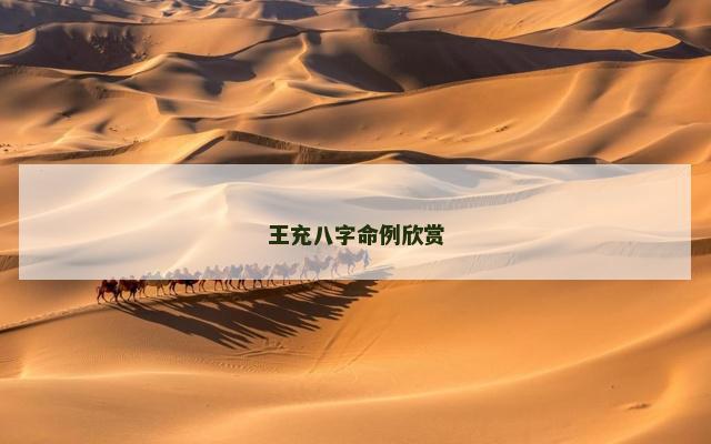 王充八字命例欣赏