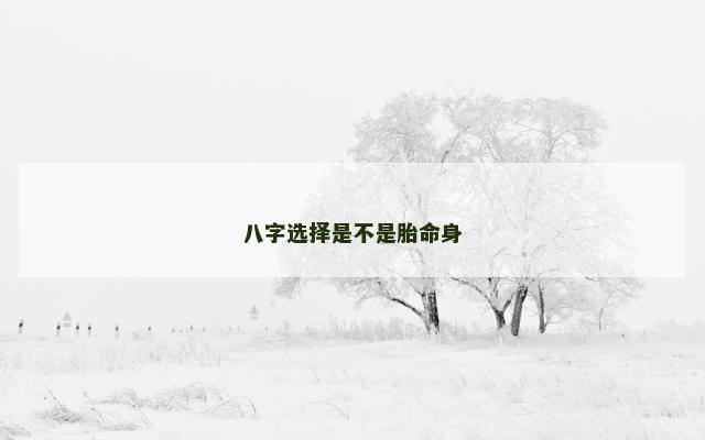 八字选择是不是胎命身