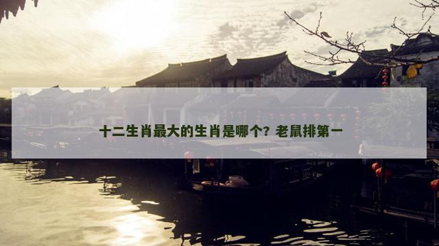 十二生肖最大的生肖是哪个? 老鼠排第一