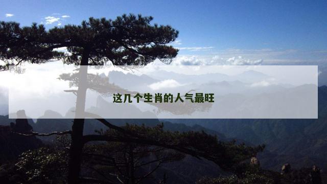 这几个生肖的人气最旺