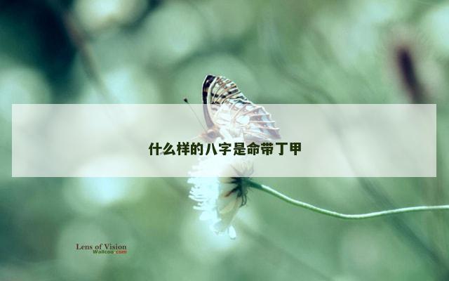 什么样的八字是命带丁甲