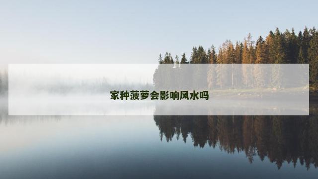 家种菠萝会影响风水吗