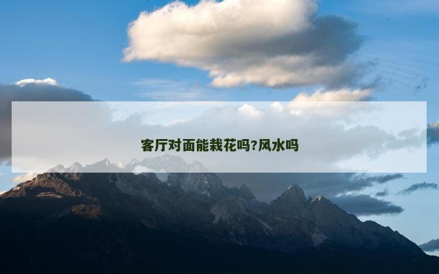 客厅对面能栽花吗?风水吗
