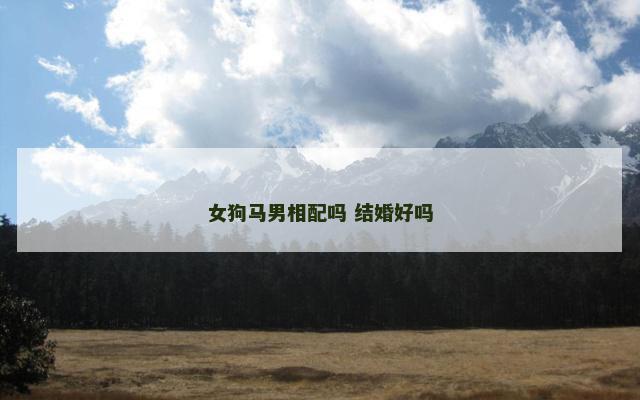 女狗马男相配吗 结婚好吗