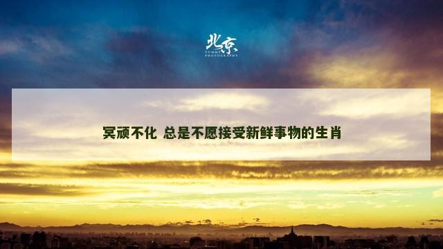 冥顽不化 总是不愿接受新鲜事物的生肖